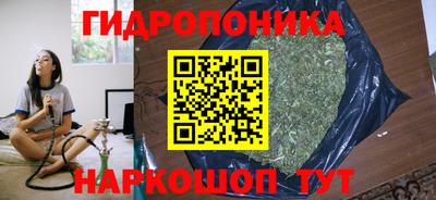 гидра Лесосибирск