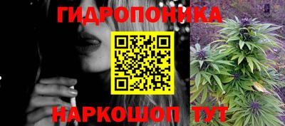 гидра Лесосибирск