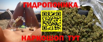 гидра Лесосибирск