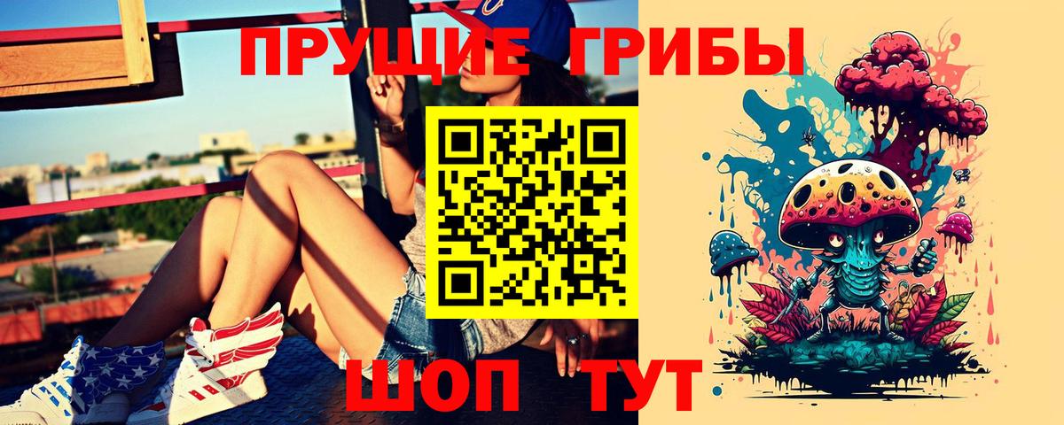 Железногорск  Галлюциногенные грибы Psilocybe  закладки  Вход с VPN 